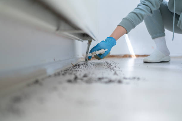 Best Pest Inspection Near Me  in Santa Clara, UT